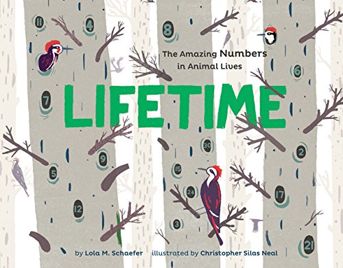 Lifetime: The Amazing Numbers in Animal Lives