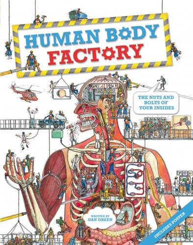 The Human Body Factory: The Nuts and Bolts of Your Insides